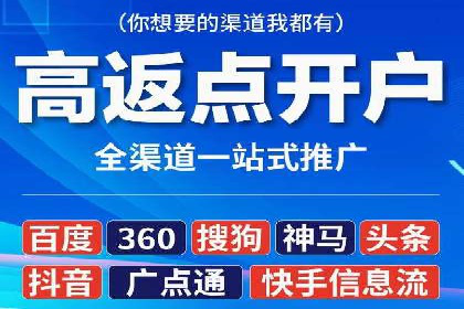 百度竞价运营的挑战与机遇：成功案例探讨