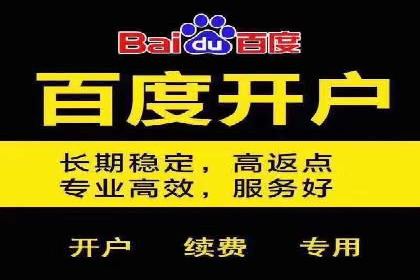 百度运营推广策略解析，看这些成功案例